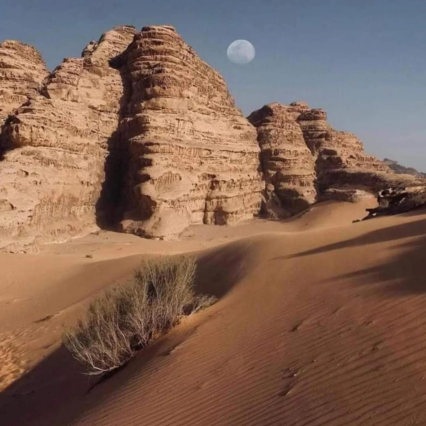Wadi Rum Trail Ngoại thất bức ảnh
